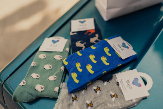 Unveiling the Charm of Funky Socks: Where Style Meets Quirkiness